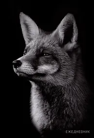 Купить Ежедневник недат. А5 128л "Лиса" 7БЦ, глянц.лам, офсет — Фото №1