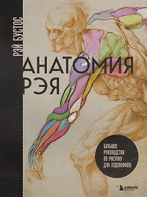 Купить Анатомия Рэя. Большое руководство по рисунку для художников — Фото №1