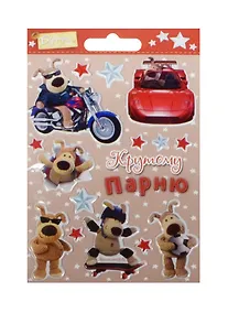 Купить Открытка со стикерами Крутому парню код Б 0652.044 — Фото №1