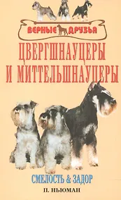 Купить Цвергшнауцеры и миттельшнауцеры. Смелость и задор. — Фото №1