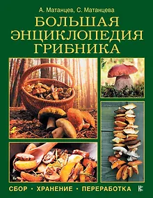 Купить Большая энциклопедия грибника: сбор, хранение, переработка — Фото №1