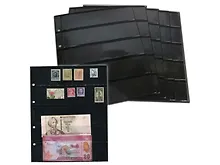 Купить Комплект листов двухсторонний для марок и бон 200*250 мм на 5 ячеек, 5 штук 10-643-0031962 — Фото №1