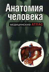 Купить Анатомия человека — Фото №1