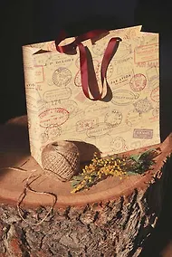 Купить Пакет "Почтовый экспресс", 25x23x8 — Фото №1