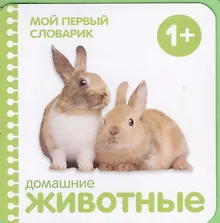 Купить Домашние животные — Фото №1