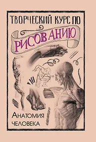 Купить Творческий курс по рисованию. Анатомия человека — Фото №1