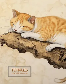Купить Тетрадь для иероглифов (рыжий котик) — Фото №1