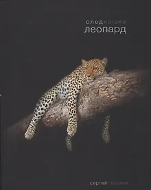 Купить След кошки.Леопард — Фото №1