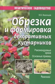 Купить Обрезка и формировка декоративных кустарников — Фото №1