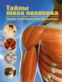 Купить Тайны тела человека. Большая иллюстрированная энциклопедия — Фото №1