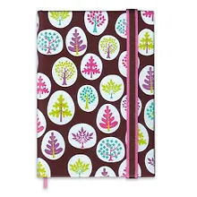 Купить Записная книжка СОФТ-ТАЧ КОРИЧНЕВЫЙ А6, 103*148мм, 240стр., застежка-резинка, твердый переплет 47734 — Фото №1