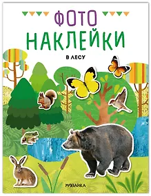 Купить Фотонаклейки. В лесу — Фото №1
