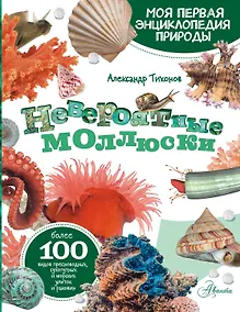 Купить Моллюски, кораллы, морские звезды, морские ежи — Фото №1