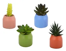 Купить Цветочная композиция Суккулент в горшочке (11см) (12-EDENG-202505-HD34) — Фото №1