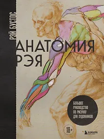 Купить Анатомия Рэя. Большое руководство по рисунку для художников — Фото №1