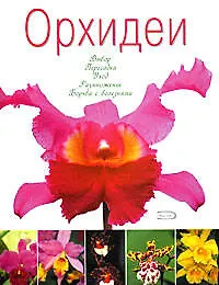 Купить Орхидеи — Фото №1