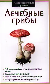 Купить Лечебные грибы ИС — Фото №1