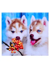 Купить Алмазная мозаика квадрат. 20x20 (класс.) (24 цв.) Пушистые щенки Хаски. ( Арт. F2-026) — Фото №1