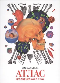 Купить Визуальный атлас человеческого тела — Фото №1