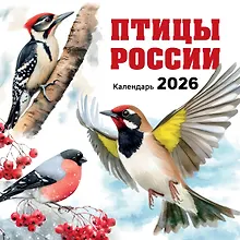 Купить Календарь 2026г 300*300 "Птицы России" настенный, на скрепке — Фото №1