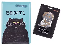 Купить Набор Я молодец Обложка д/паспорта, картхолдер (Обложка для паспорта Бесите (кот) (ПВХ бокс)+Чехол для карточек вертикальный Басик Я молодец горжусь собой) — Фото №1