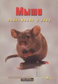 Купить Мыши — Фото №1