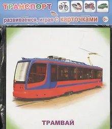 Купить Обучающие карточки. Транспорт — Фото №1