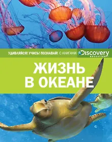 Купить Жизнь в океане — Фото №1