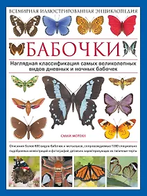 Купить Бабочки! Маленькая энциклопедия. Обаятельная книжка о красивом существе — Фото №1