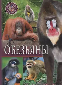 Купить Обезьяны — Фото №1