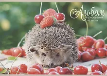 Купить Альбом для рисования Listoff, "Блестящие и милые", А4, 40 листов, на скрепке — Фото №1