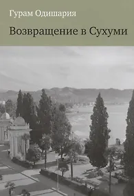 Купить Возвращение в Сухуми — Фото №1