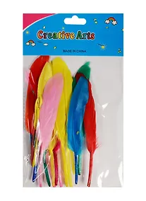 Купить Набор гладких перьев 15шт 12-15см в ассортименте — Фото №1