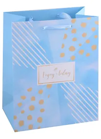 Купить Пакет А5 18*23*10 "Enjoy today" нейтр., бум., мат.пленка, тиснение — Фото №1