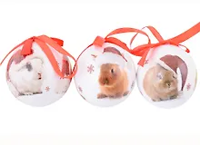 Купить Набор елочных шаров НГ Кролики в колпачках (3 шт) (пластик) (7,5 см) (ПВХ Бокс) — Фото №1