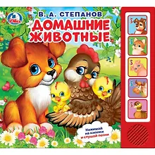 Купить Домашние животные — Фото №1