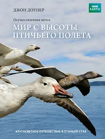 Купить Мир с высоты птичьего полета — Фото №1