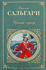 Купить Черный корсар — Фото №1