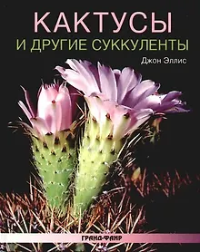 Купить Кактусы и другие суккуленты — Фото №1