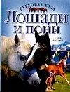 Купить Лошади и пони (Верховая Езда). Рансфорд С. (АСТ) — Фото №1