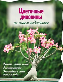 Купить Цветочные диковины на вашем подоконнике (Вырубка. Цветы в саду и на окне) — Фото №1