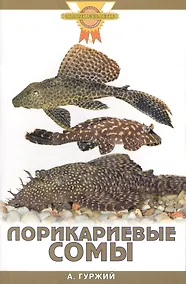 Купить Лорикариевые сомы. (цвет) — Фото №1