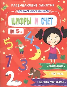 Купить Цифры и счет. Развивающие занятия — Фото №1