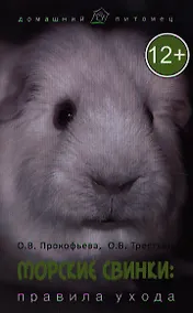 Купить Морские свинки : правила ухода — Фото №1