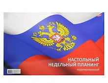 Купить Еженедельник, Планинг 270*420мм 53л н/датир на склейке 8166-EAC — Фото №1