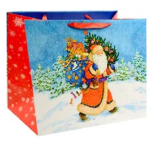 Купить Пакет А3+ 50*40*25 "Дед Мороз" Новый год, бум.ламинат — Фото №1