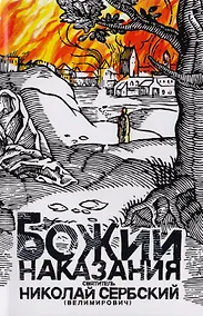 Купить Божии наказания. Божий промысл. Видения от Бога — Фото №1