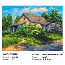 Купить Набор для творчества Живопись на холсте 30х40см Кусты сирени 435-AS — Фото №1