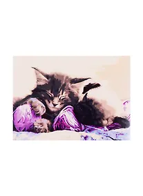 Купить Набор д/творчества Рыжий кот Палитра. Холст с красками 30х40см по номерам Спящие пушистые друзья Х-1758 — Фото №1