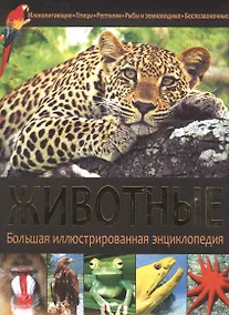 Купить Животные — Фото №1